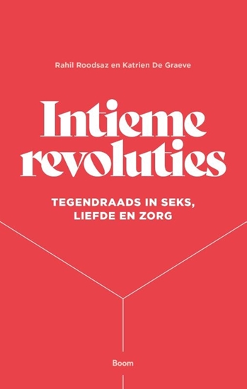 Afbeelding van Intieme revoluties