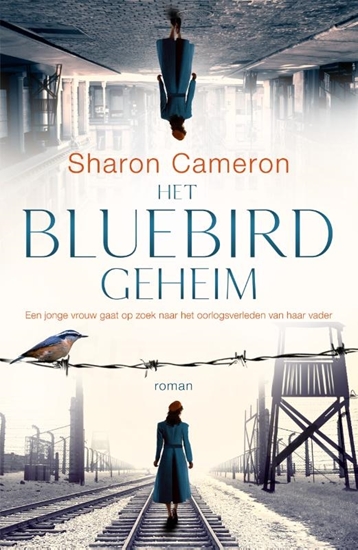Afbeelding van Het Bluebird geheim