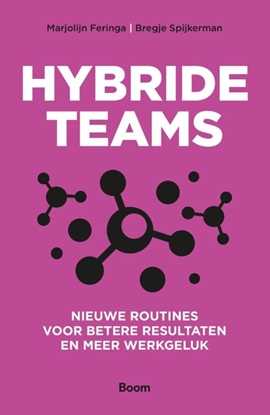 Afbeeldingen van Hybride teams