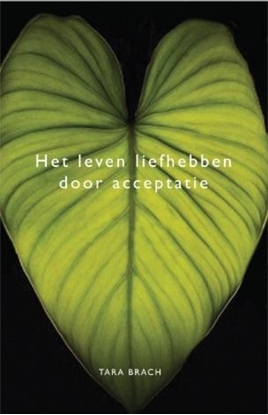 Afbeeldingen van Het leven liefhebben door acceptatie