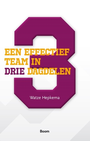 Afbeelding van Een effectief team in drie dagdelen