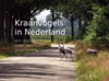Afbeelding van Kraanvogels in Nederland