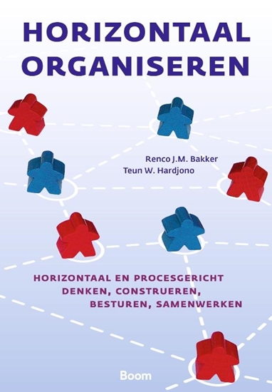 Afbeelding van Horizontaal organiseren