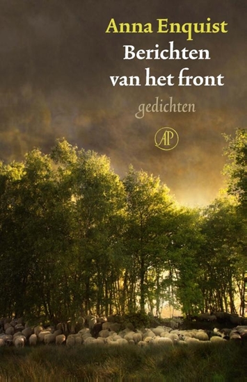 Afbeelding van Berichten van het front