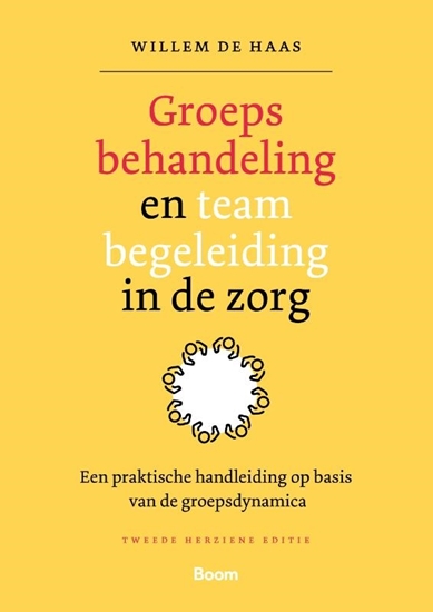 Afbeelding van Groepsbehandeling en teambegeleiding in de zorg