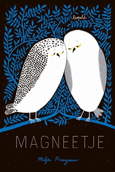 Afbeelding van Magneetje