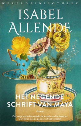 Afbeeldingen van Het negende schrift van Maya