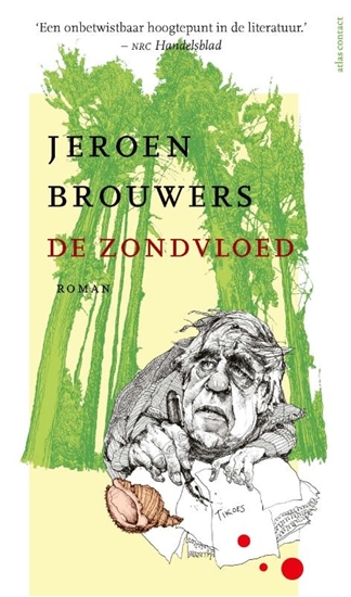 Afbeelding van De zondvloed