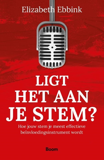 Afbeelding van Ligt het aan je stem?