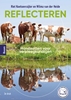 Afbeelding van Reflecteren