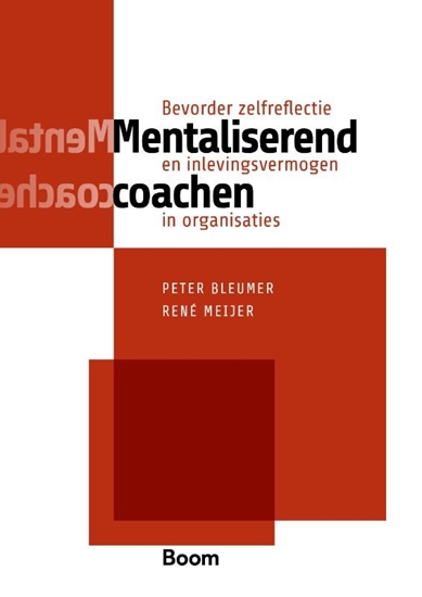 Afbeelding van Mentaliserend coachen