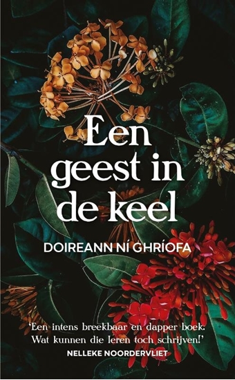 Afbeelding van Een geest in de keel