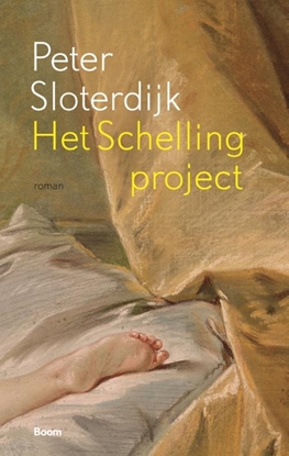 Afbeeldingen van Het Schelling-project