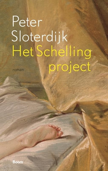 Afbeelding van Het Schelling-project