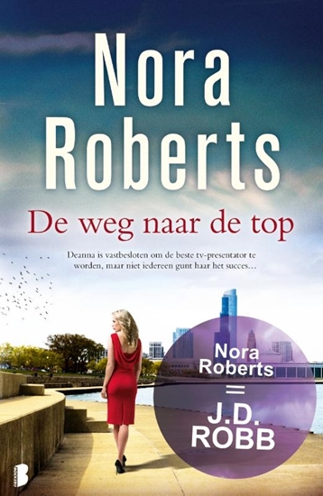 Afbeelding van De weg naar de top