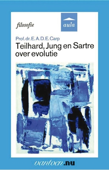 Afbeelding van Teilhard, Jung en Sartre over evolutie