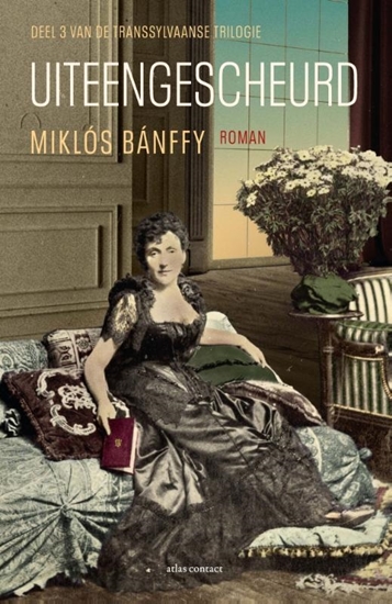 Afbeelding van Uiteengescheurd