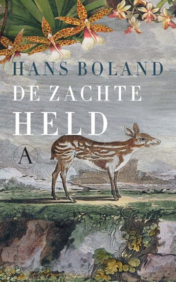 Afbeelding van De zachte held