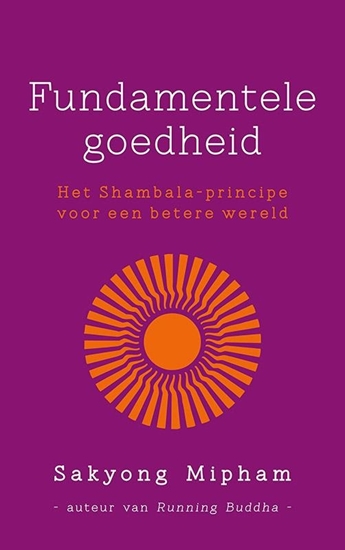 Afbeelding van Fundamentele goedheid