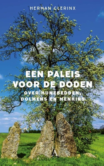 Afbeelding van Een paleis voor de doden