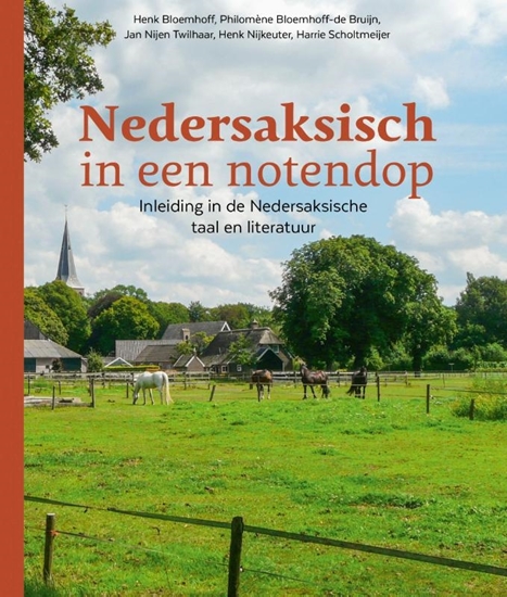 Afbeelding van Nedersaksisch in een notendop