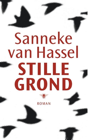 Afbeelding van Stille grond