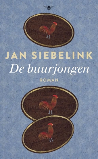 Afbeelding van De buurjongen