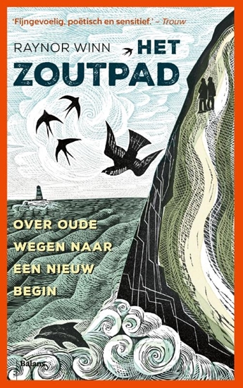 Afbeelding van Het zoutpad