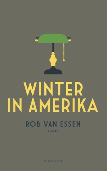 Afbeelding van Winter in Amerika