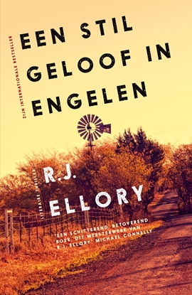 Afbeeldingen van Een stil geloof in engelen