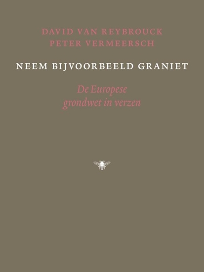 Afbeelding van Neem bijvoorbeeld graniet