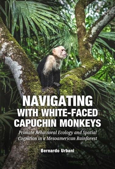 Afbeelding van Navigating with White-Faced Capuchin Monkeys