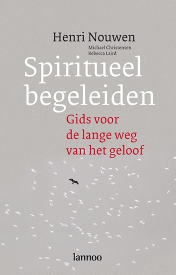 Afbeelding van Spiritueel begeleiden