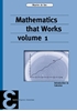 Afbeelding van Epsilon uitgaven Mathematics that Works 1