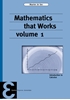 Afbeelding van Epsilon uitgaven Mathematics that Works 1