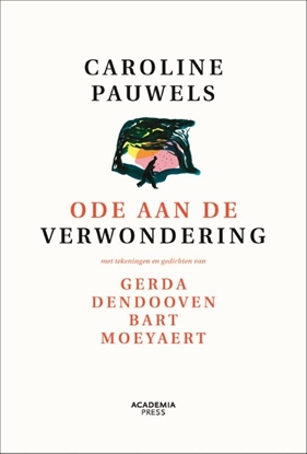 Afbeeldingen van Ode aan de verwondering - nieuwe editie