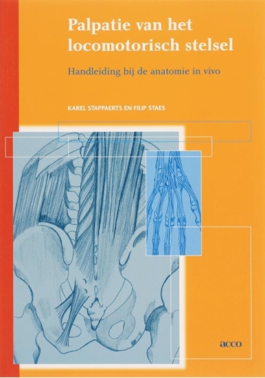 Afbeelding van Palpatie van het locomotorisch stelsel