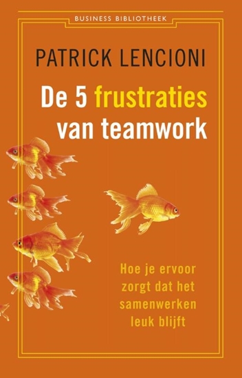 Afbeelding van De 5 frustraties van teamwork