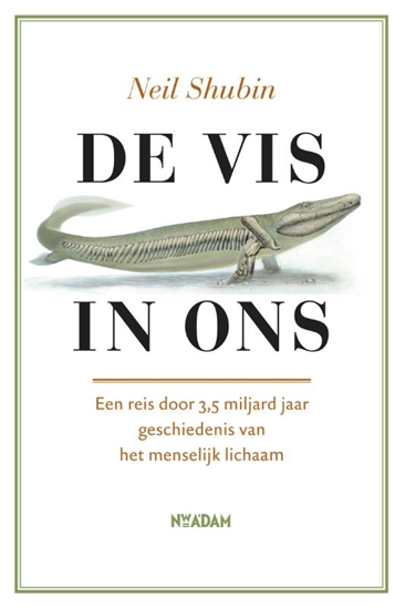 Afbeelding van De vis in ons