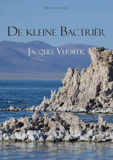 Afbeelding van De kleine Bactrier