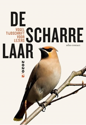 Afbeeldingen van De Scharrelaar De scharrelaar 2020/2