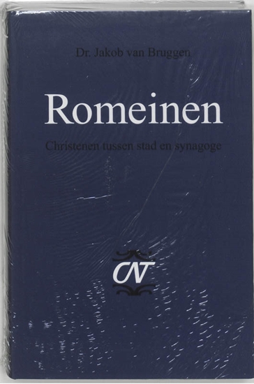 Afbeelding van Romeinen