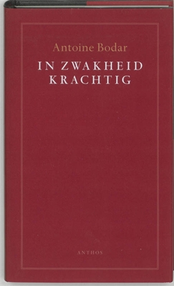 Afbeeldingen van In zwakheid krachtig
