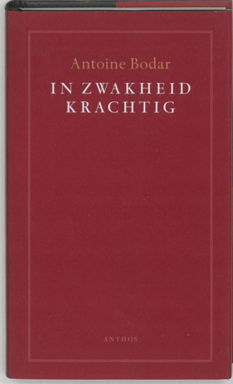 Afbeelding van In zwakheid krachtig