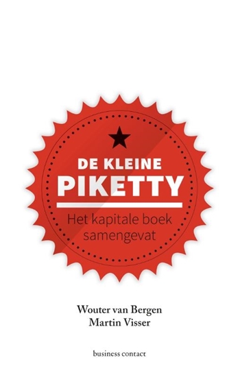 Afbeelding van Kleine boekjes - grote inzichten De kleine Piketty