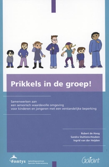 Afbeelding van Fontys-OSO-Reeks Prikkels in de groep!