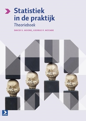 Afbeeldingen van Statistiek in de praktijk Theorieboek