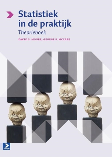 Afbeelding van Statistiek in de praktijk Theorieboek