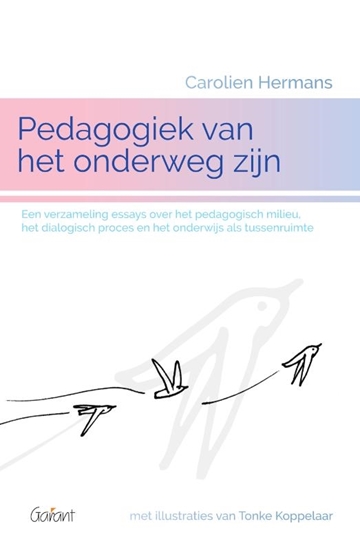 Afbeelding van Pedagogiek van het onderweg zijn