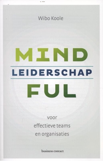 Afbeelding van Mindful leiderschap